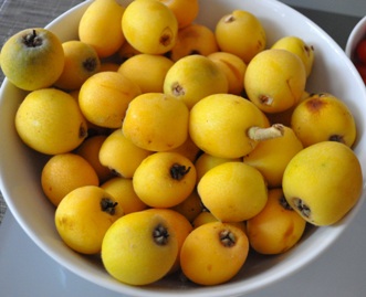 Bowl of Loquats